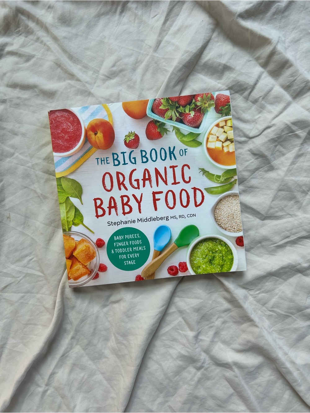 The Big Book of Organic Baby Food